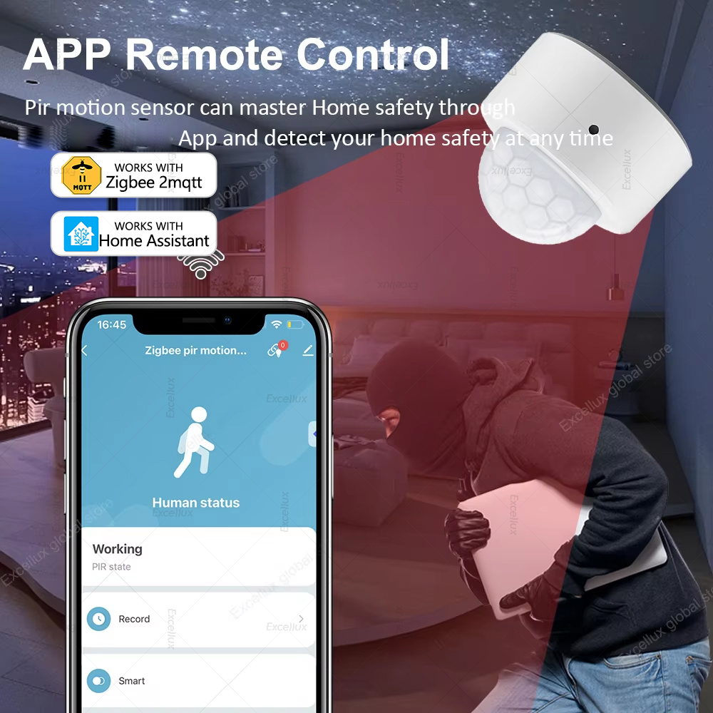 ZigBee PIR Motion Sensor Mini  - Smart Home Full System 리뷰 및 가격