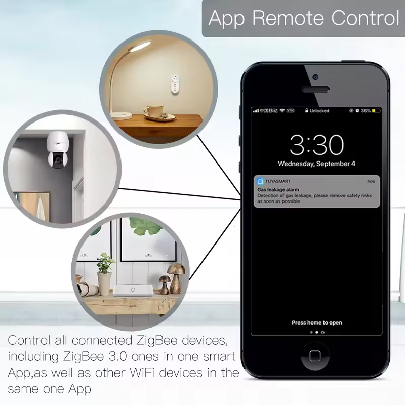 Moes Tuya ZigBee 3.0 Smart Gat - Smart Home Full System 리뷰 및 가격