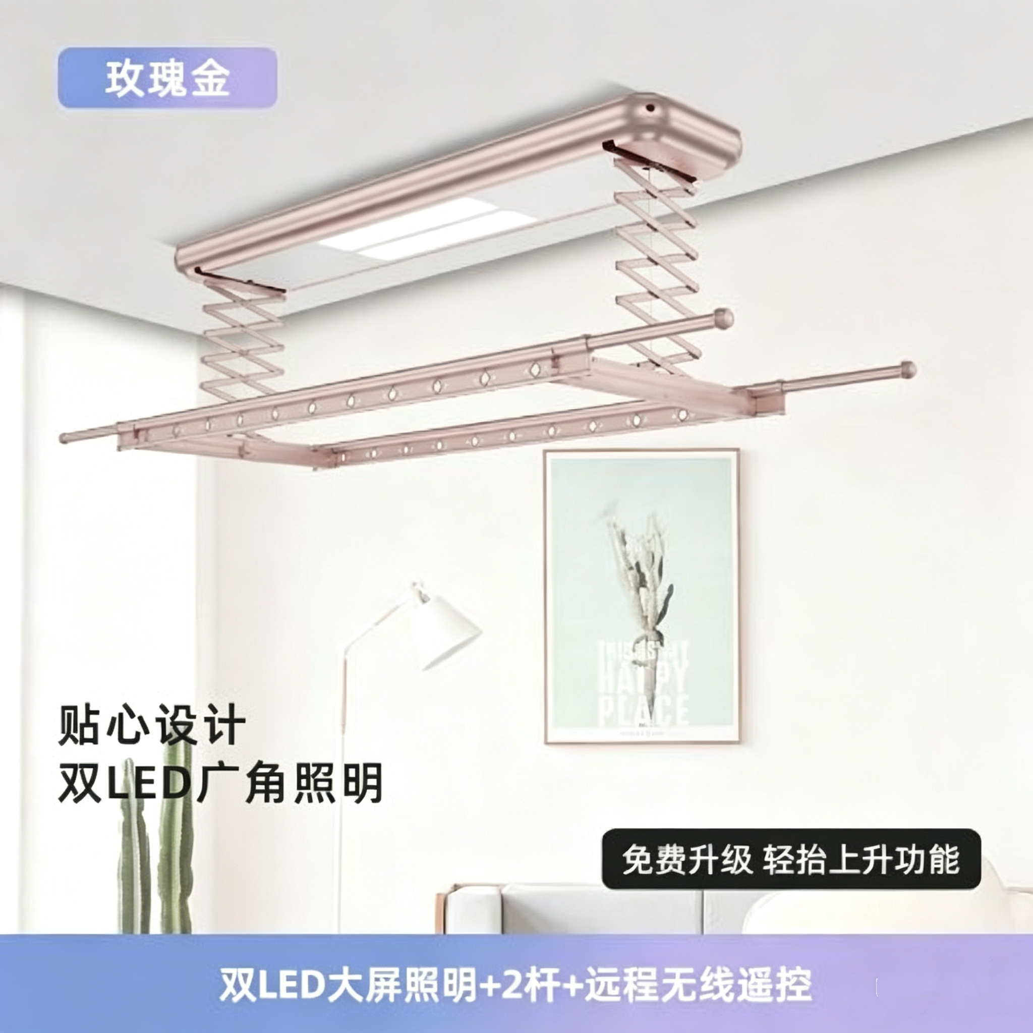 Smart Electric Ceiling Dryer H - Smart Home In Us 리뷰 및 가격