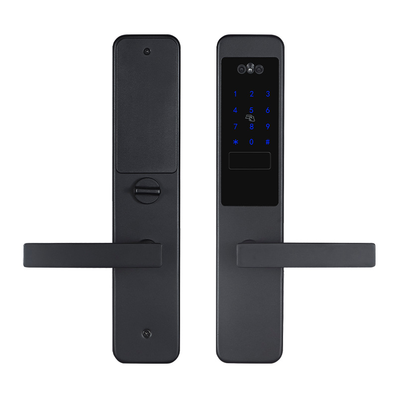 D29 3D Face Recognition Unlock - Wifi Doorbell Camera 리뷰 및 가격