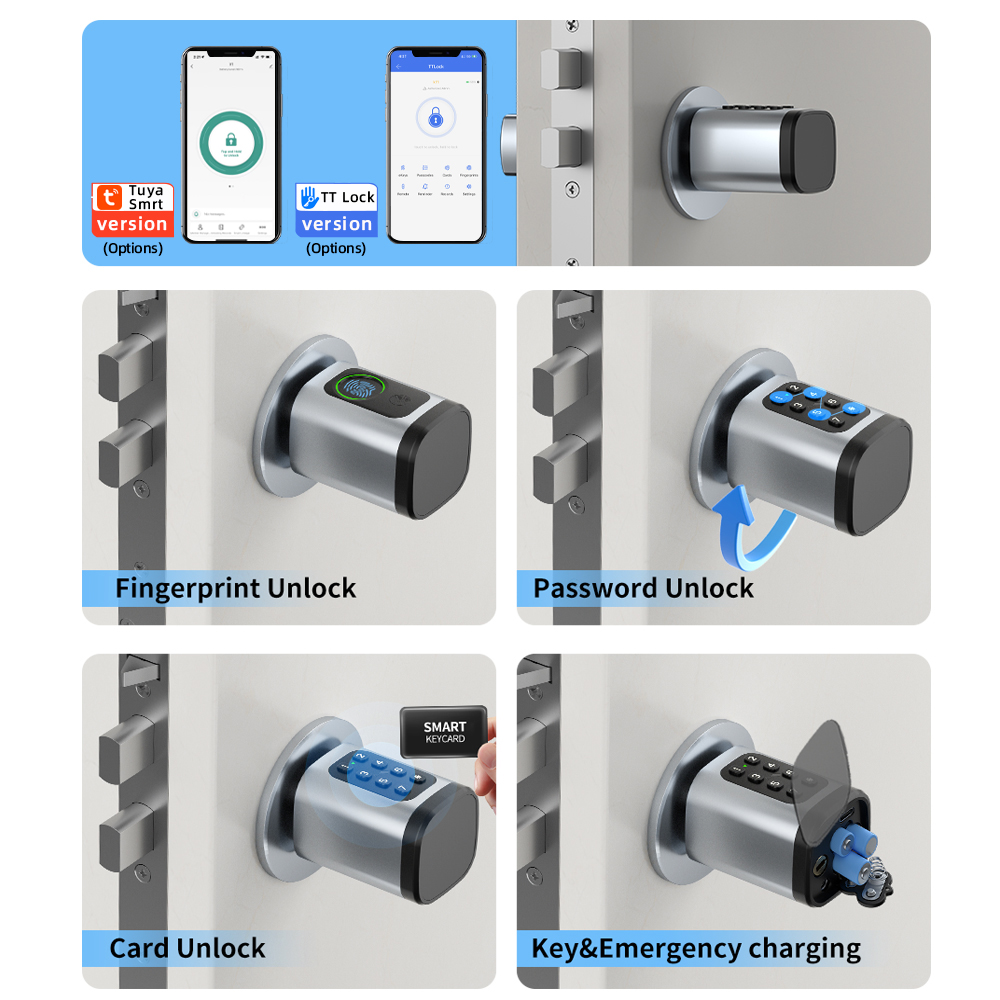 RAYKUBE V1 Tuya BLE TT Lock Sm - Smart Home Hotel 리뷰 및 가격
