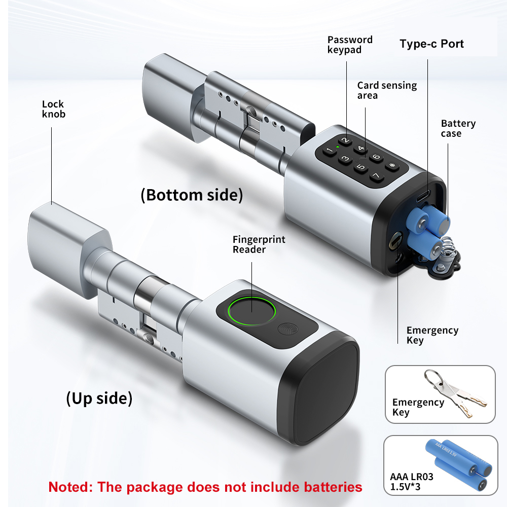 RAYKUBE V1 Tuya BLE TT Lock Sm - Smart Home Hotel 리뷰 및 가격