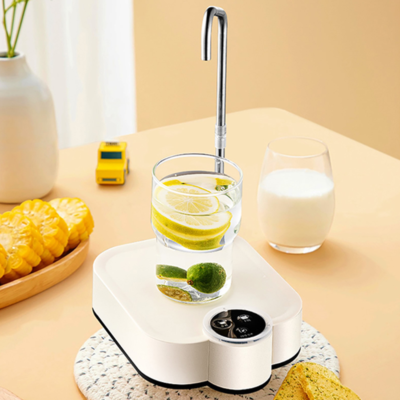 Smart Electric Water Pump Rech - Home Smart Kettle 리뷰 및 가격