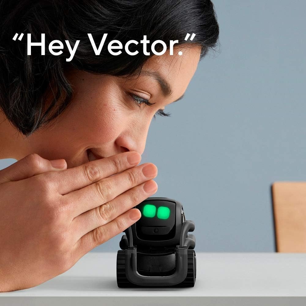 AI ChatGPT 2.0 Connected Robot - Smart Home Remote Control 리뷰 및 가격