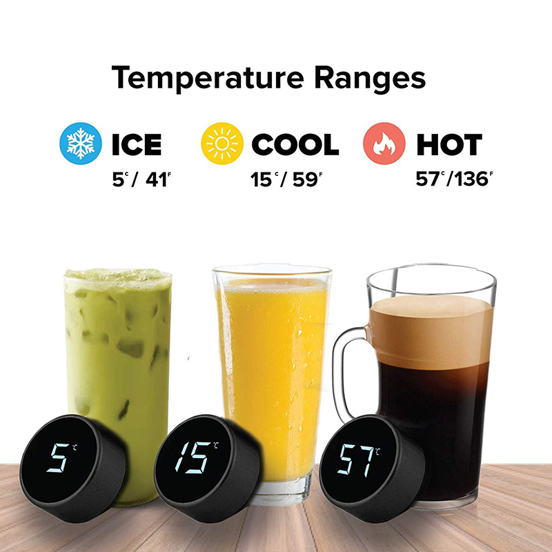 Stainless Steel Smart Water Bo - Home Smart Kettle 리뷰 및 가격