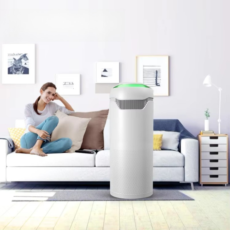 Smart Home Air Purifier with H - Smart Air Purifier 리뷰 및 가격
