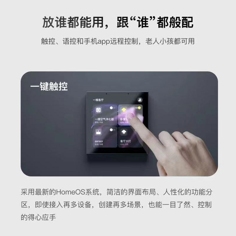 Graffiti Smart Central Control - Smart Home Control Panel 리뷰 및 가격